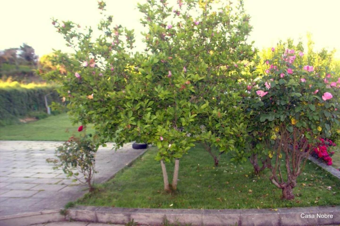 Retiro Na Natureza Casa Com Piscina Digueifel エクステリア 写真